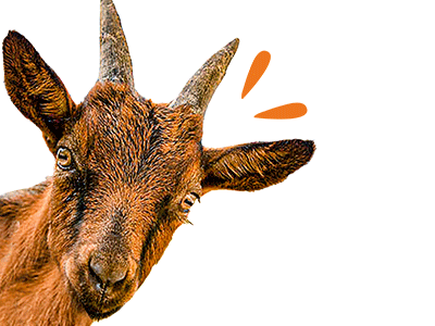 makwaba-cabri-accueil-spot